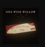 许愿柳ONEWISH官方正版
