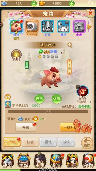 超级新宠物