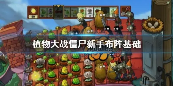 🌱开荒布阵实战指南:从「可无」命题到科学阵型构建 🌱开荒布阵实战指南:从「可无」命题到科学阵型构建
