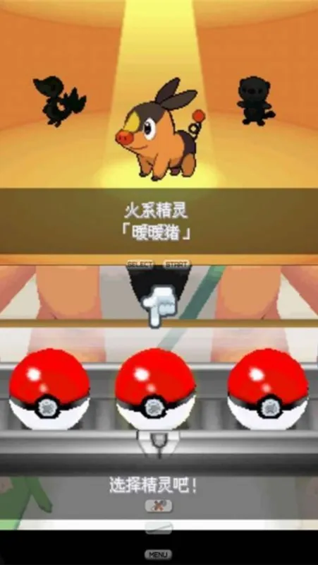 口袋妖怪白2金手指版截图2