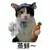 蒸蚌管家电视版