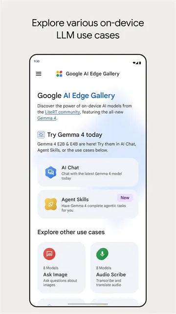 Google AI Edge Gallery安卓版下载截图1
