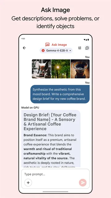 Google AI Edge Gallery安卓版下载截图4
