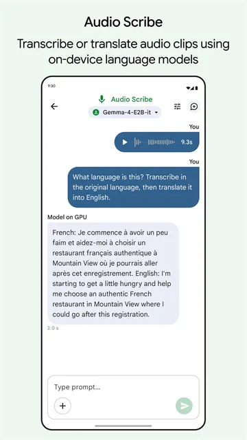 Google AI Edge Gallery安卓版下载截图5