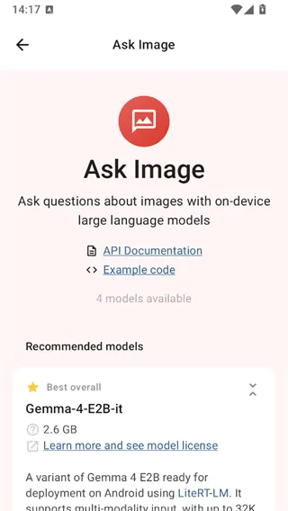 Google AI Edge Gallery