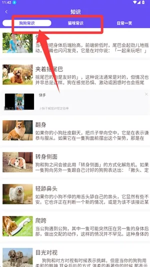 萌宠猫狗交流器怎么查看宠物知识