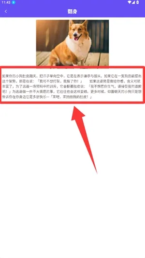 萌宠猫狗交流器怎么查看宠物知识