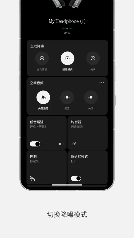 Nothing X-耳机管理工具截图3
