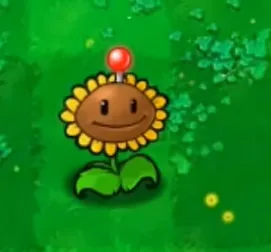 植物介绍1