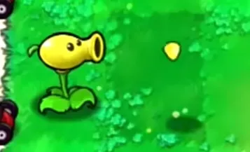 植物介绍2