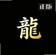 游龙安全护盾工具