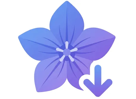 桔梗云盘官方软件内容