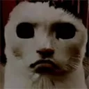 猫猫惊魂游戏官方正版