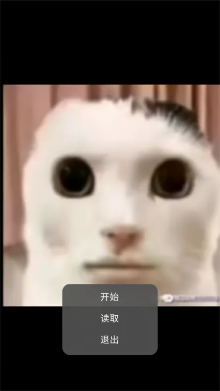 游戏攻略截图1