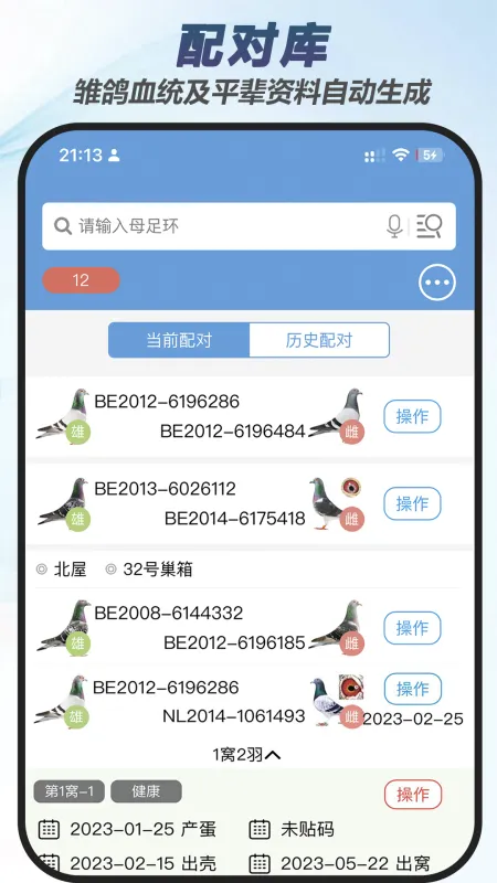 赛鸽云-信鸽赛事管理截图4