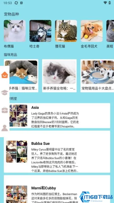 猫咪聊 安卓版 界面截图