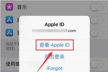 苹果商店解决验证问题