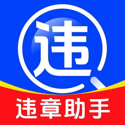 驾驶违规助手