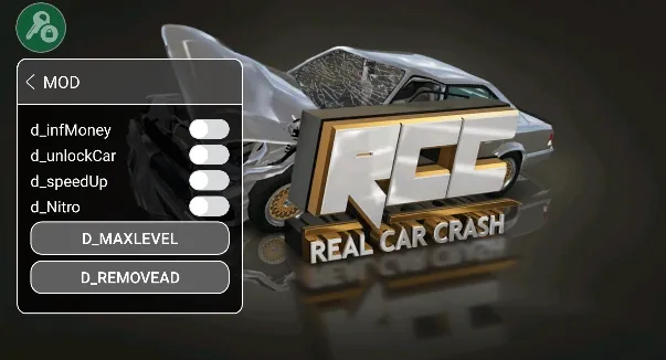 Real Car Crash
