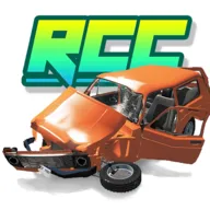 Real Car Crash