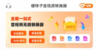 硬柿子音视频转换器