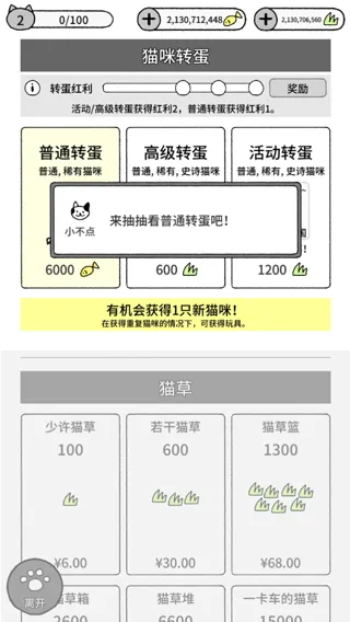 猫咪真的很可爱