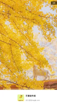 芒果软件库