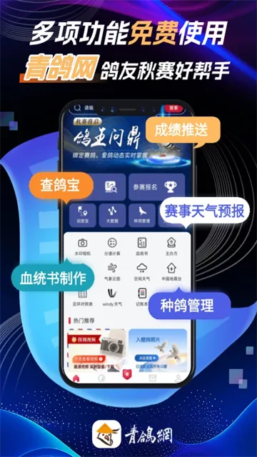 青鸽网App下载截图1
