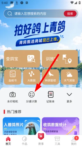 青鸽网App