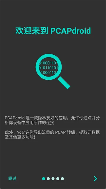 PCAPdroid安卓版下载安装截图2