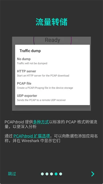 PCAPdroid安卓版下载安装截图5