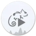 StellioPlayerPro直装安卓专业版