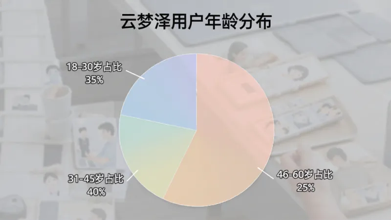 一张展示不同年龄段用户使用手机应用场景的饼状图,图表标题为“云梦泽用户年龄分布”,图中显示18-30岁占比35%,31-45岁占比40%,46-60岁占比25%,配色柔和,数据标注清晰,整体风格简洁专业
