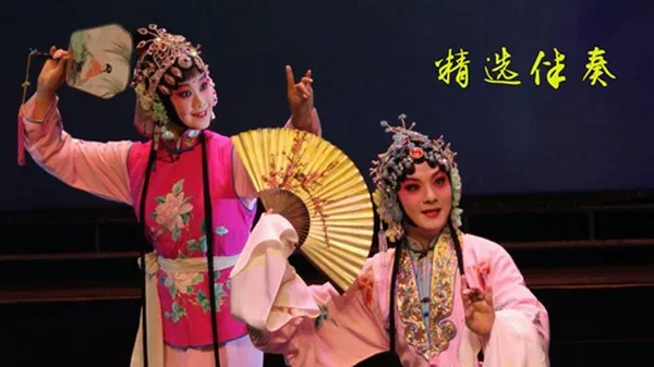 豫剧迷安卓版截图2