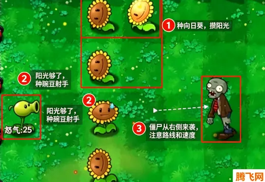 植物大战僵尸招笑版