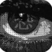 恐惧TERROR中文版