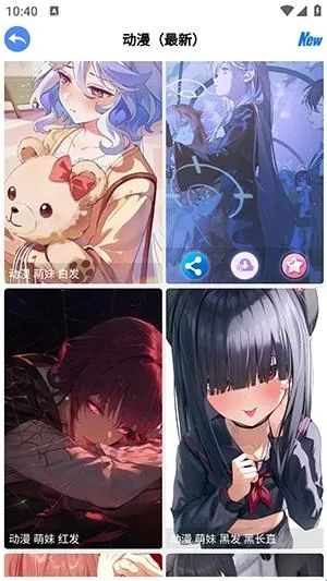 波奇壁纸 波奇壁纸