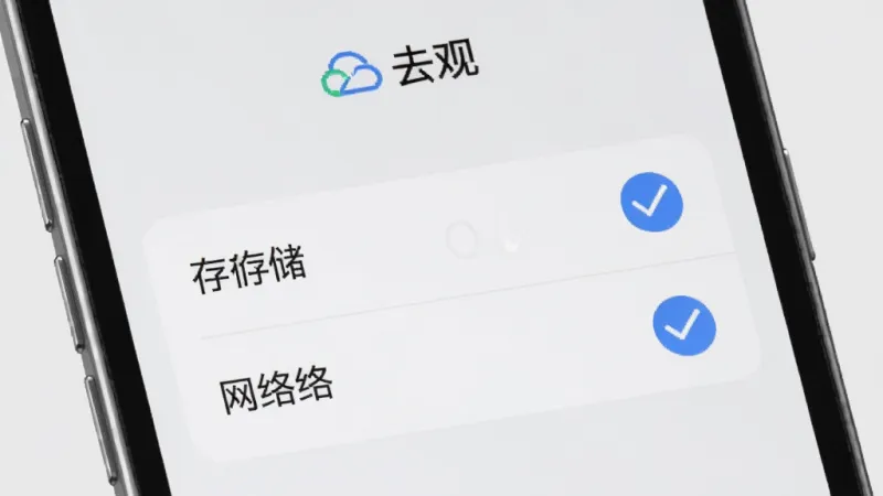 手机屏幕特写,显示云观App的权限管理界面,界面简洁,只有存储和网络两个权限选项被勾选,背景是纯色,主体是手机屏幕,布局居中,排版干净,风格简约现代,细节清晰,画质干净无多余元素,色调以白灰为主