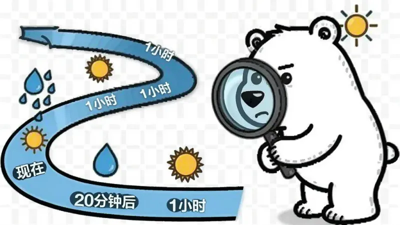 卡通北极熊拿着放大镜看一条弯曲的降雨时间轴,时间轴上标注着