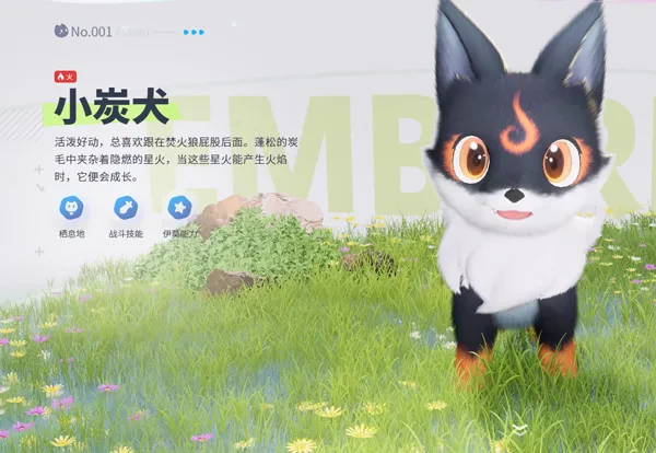 伊莫宠物介绍