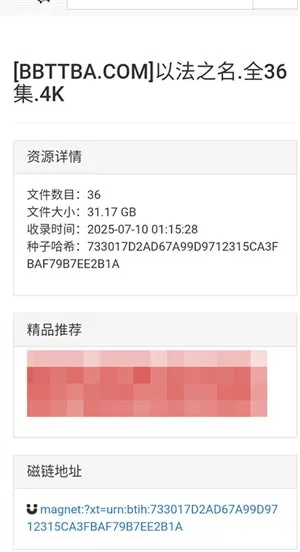 磁力熊猫2026最新版截图3