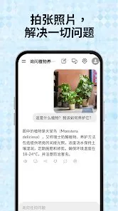 RagmyAI智能体软件截图2