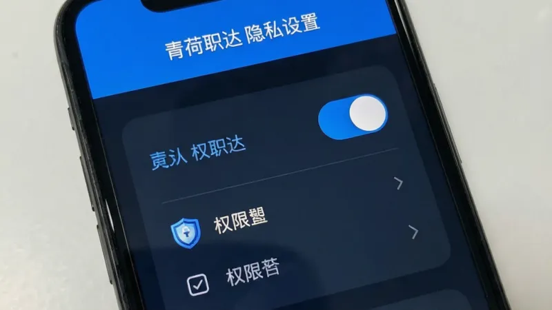 青荷职达 隐私设置页面 手机屏幕显示开关按钮和权限选项 盾牌图标 蓝色强调色 界面简洁 文字标签清晰 干净无多余元素