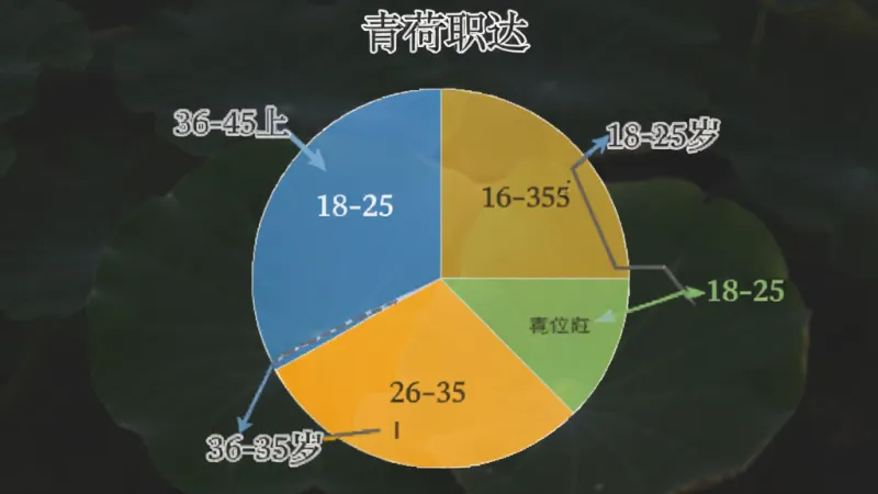 青荷职达 用户年龄分布饼状图 18-25岁 26-35岁 36-45岁 46岁以上 四个扇形区域 不同颜色区分 图表清晰 数据标签明显 干净简洁风格