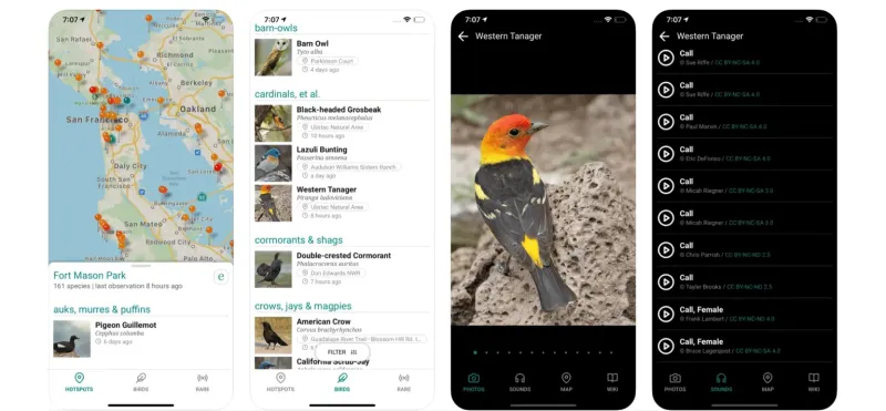 Go Birding 安卓版 观鸟应用界面截图