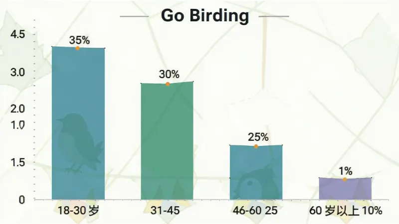 Go Birding 用户年龄分布柱状图,18-30岁占35%,31-45岁占30%,46-60岁占25%,60岁以上占10%,数据可视化,清晰简洁