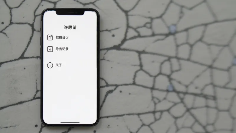 手机屏幕展示“许愿望”App的设置页面，页面中有“数据备份”“导出记录”“关于”等选项，背景为纯白色，布局为竖屏列表排版，风格干净整洁，细节上选项图标为简约线性风格，画质清晰，干净，无多余元素