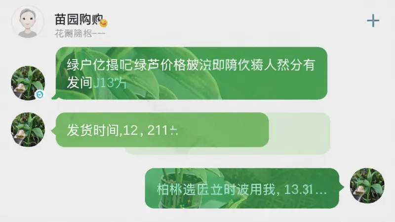 一张花园购应用内的聊天界面截图，展示用户与苗圃商家的对话，内容包括询问绿萝价格和发货时间。界面风格简洁，气泡清晰，背景为浅灰色，画质干净，无多余元素。