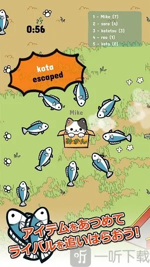 野猫 安卓版 界面截图