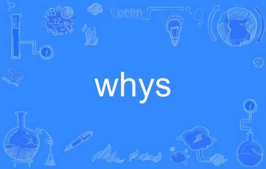 Whys Study 安卓版 界面截图